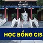 Các Trường Có Học Bổng Cis Loại B 2023 Cair Forte Test