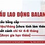 Công Ty Xuất Khẩu Lao Động Ba Lan