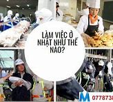 Môi Trường Làm Việc Trong Tiếng Nhật